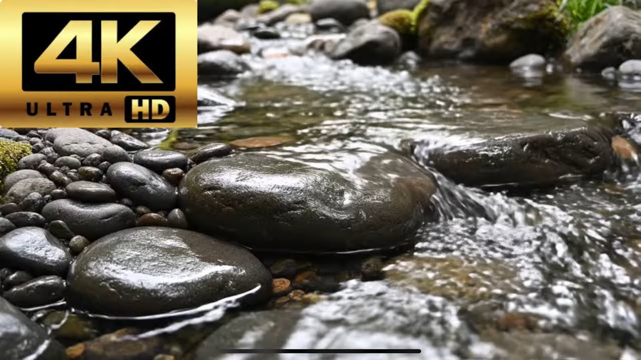 Forest Creek Ambience 4K 1 Hour– Relaxing Nature Sounds for Sleep, Study & Meditation