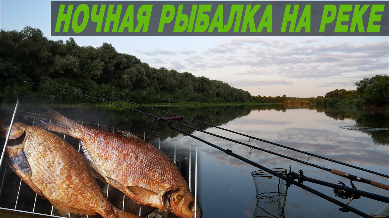 НОЧНАЯ РЫБАЛКА НА РЕКЕ. Ловля на фидер. Копченый лещ