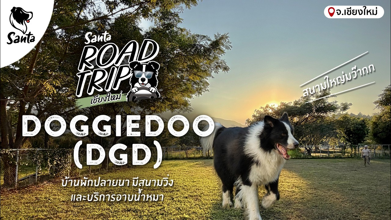 Doggiedoo เชียงใหม่ บ้านพักปลายนา มีสนามวิ่ง และบริการอาบน้ำหมา | Santa Road Trip เชียงใหม่ [Ep.03]