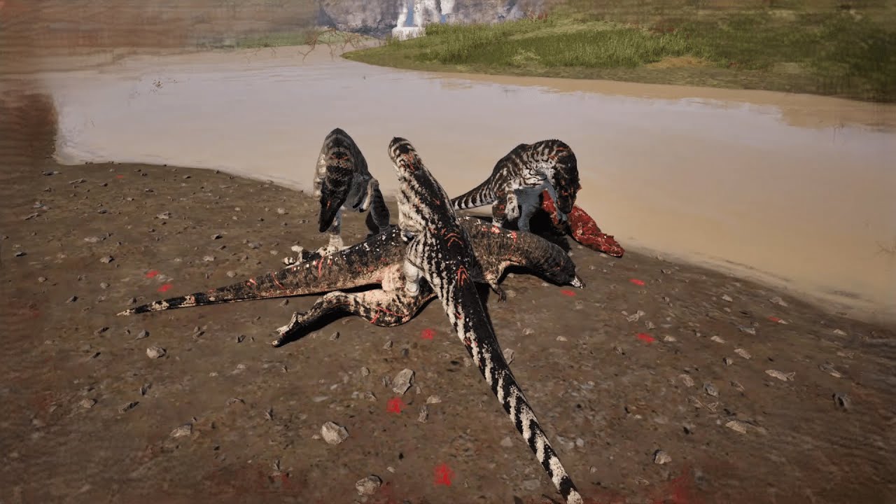 Hunting With Allosaurus | The Isle Evrima