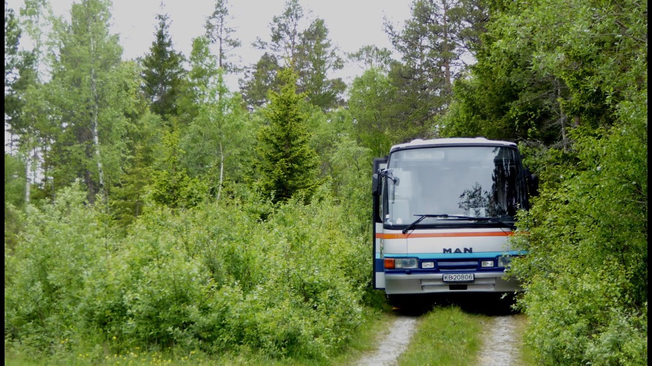 Namsos - Bodø del 2: Hofles - Holm