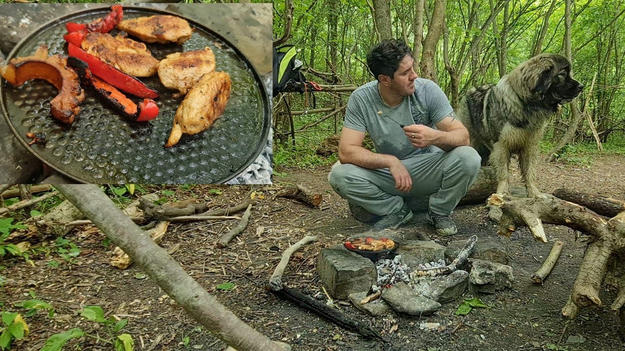 Episodul Nr.2 - Am gătit în pădure /  Bushcraft Cooking / Caucasian shepherd