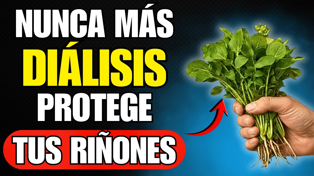 Nefr&oacute;logo Revela: 5 Hojas que Revierten Insuficiencia Renal y Evitan Di&aacute;lisis