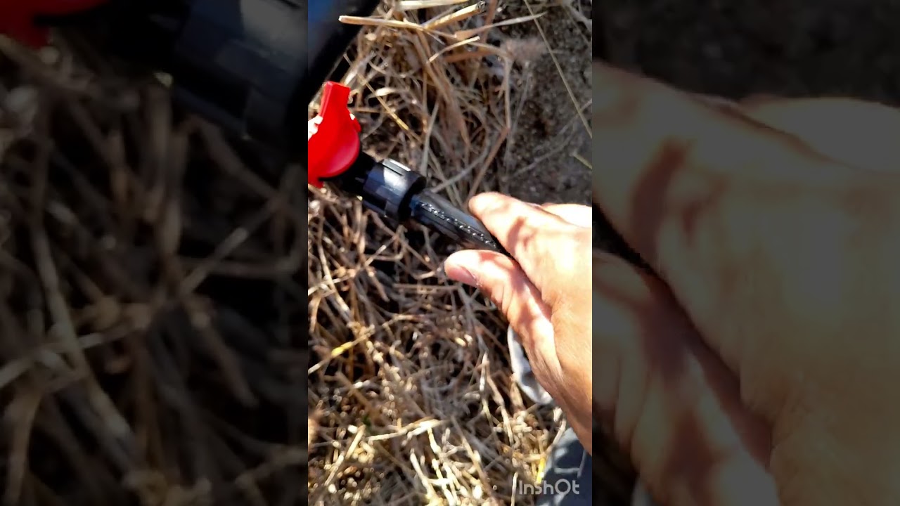 Riego por goteo a limón persa #huerta #riegoporgoteo #installation #viral #limon #compomexicano
