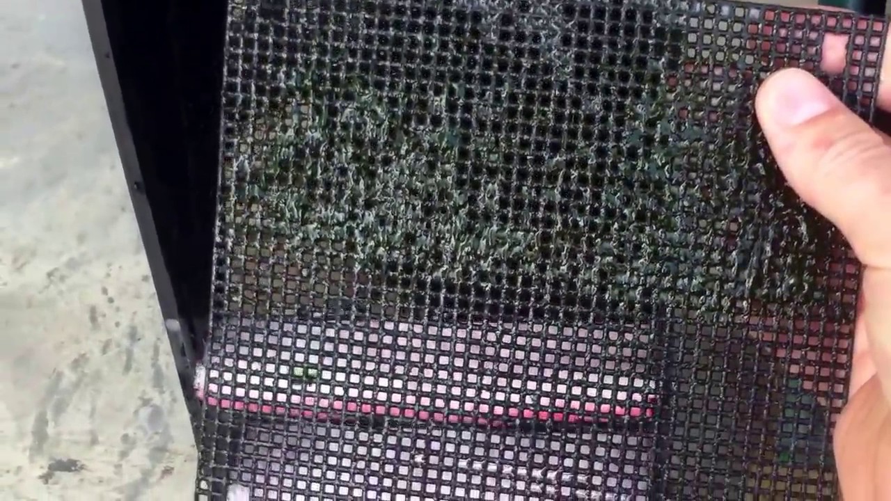 DIY in tank waterfall algae scrubber integrated fish tank filter
