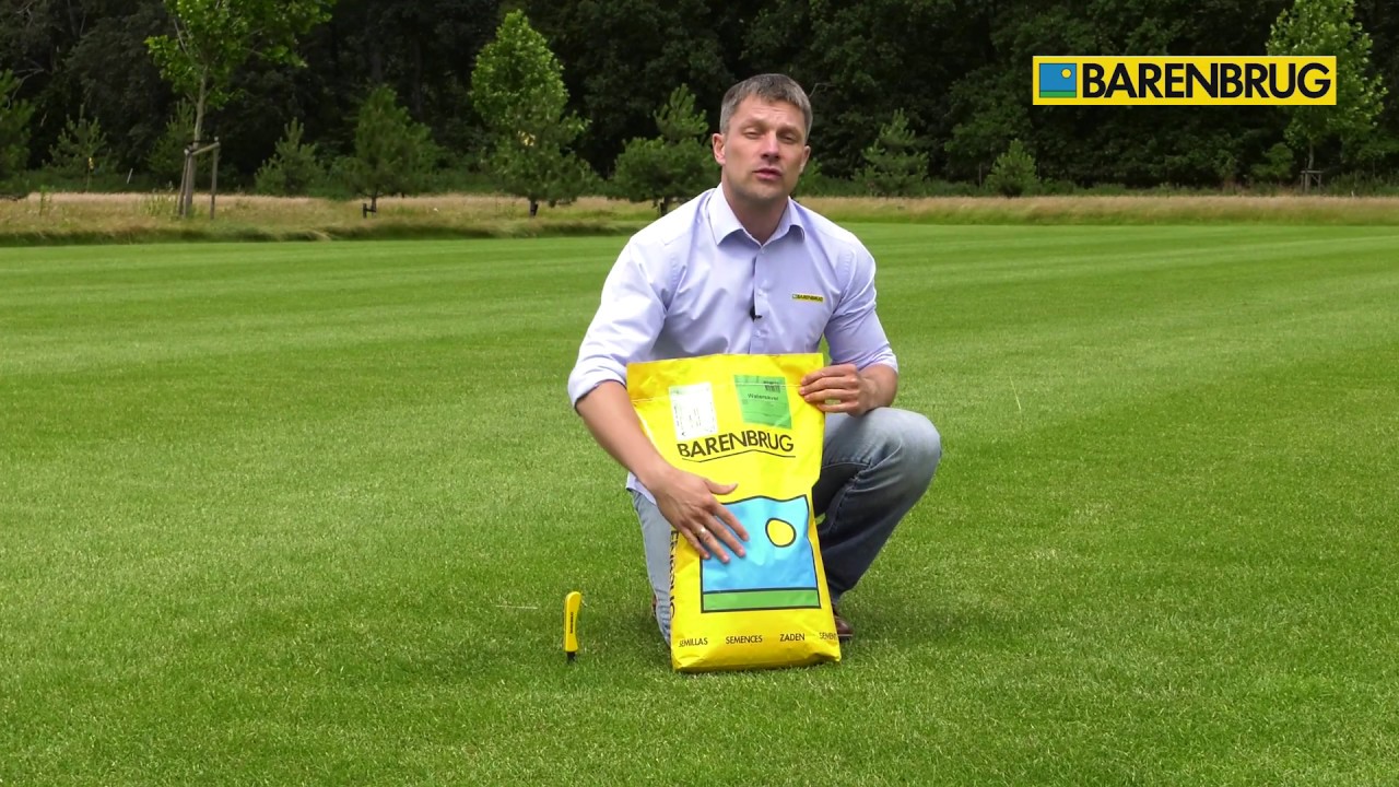 Barenbrug Watersaver