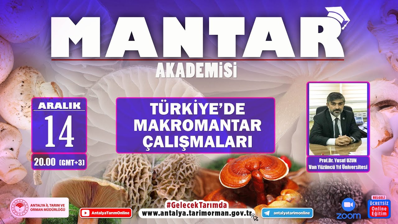 MANTAR AKADEMİSİ-1 TÜRKİYE'DE MAKROMANTAR ÇALIŞMALARI PROF. DR. YUSUF UZUN