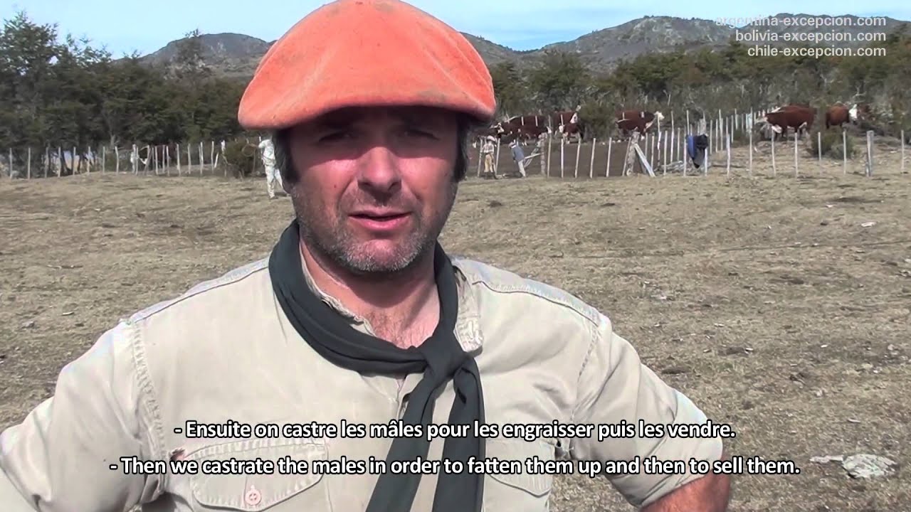 S&eacute;jour en estancia de la Patagonie, Argentine