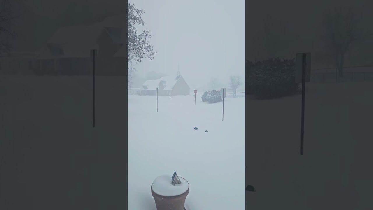 Winter Storm Update (Jan 25, 2026)