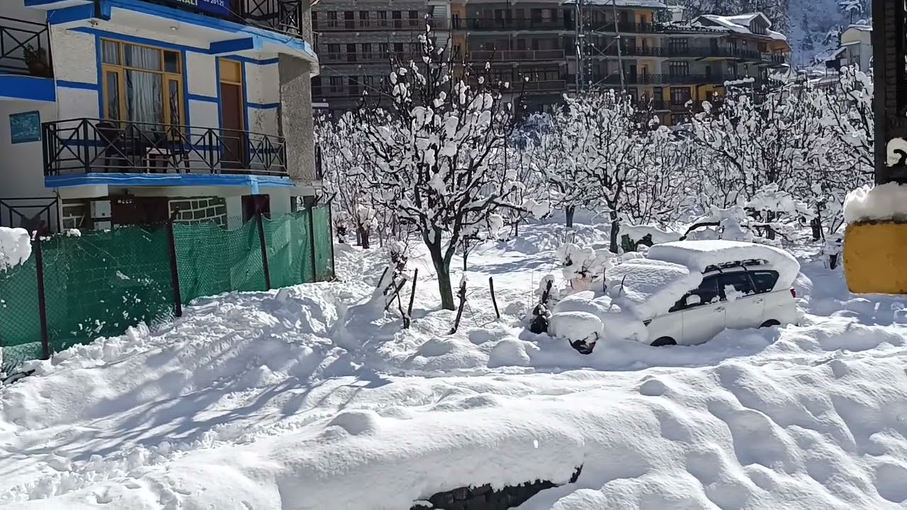 Awesome natural seen created by God by pouring in heavy snowfall in manali on 27th January 2026.
