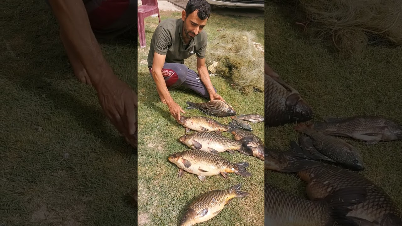 ١٩ كانون الأول، ٢٠٢٥