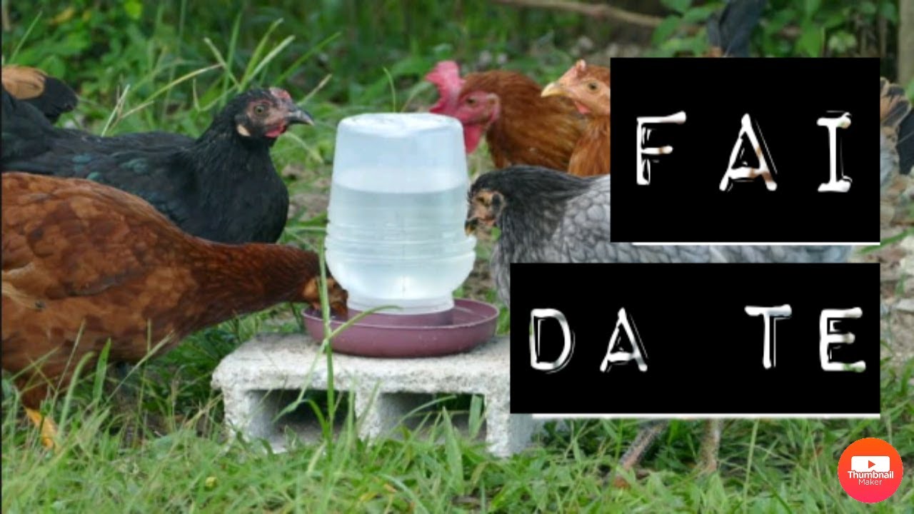 Abbeveratoio fai da te🐔|Nicole's Farm|
