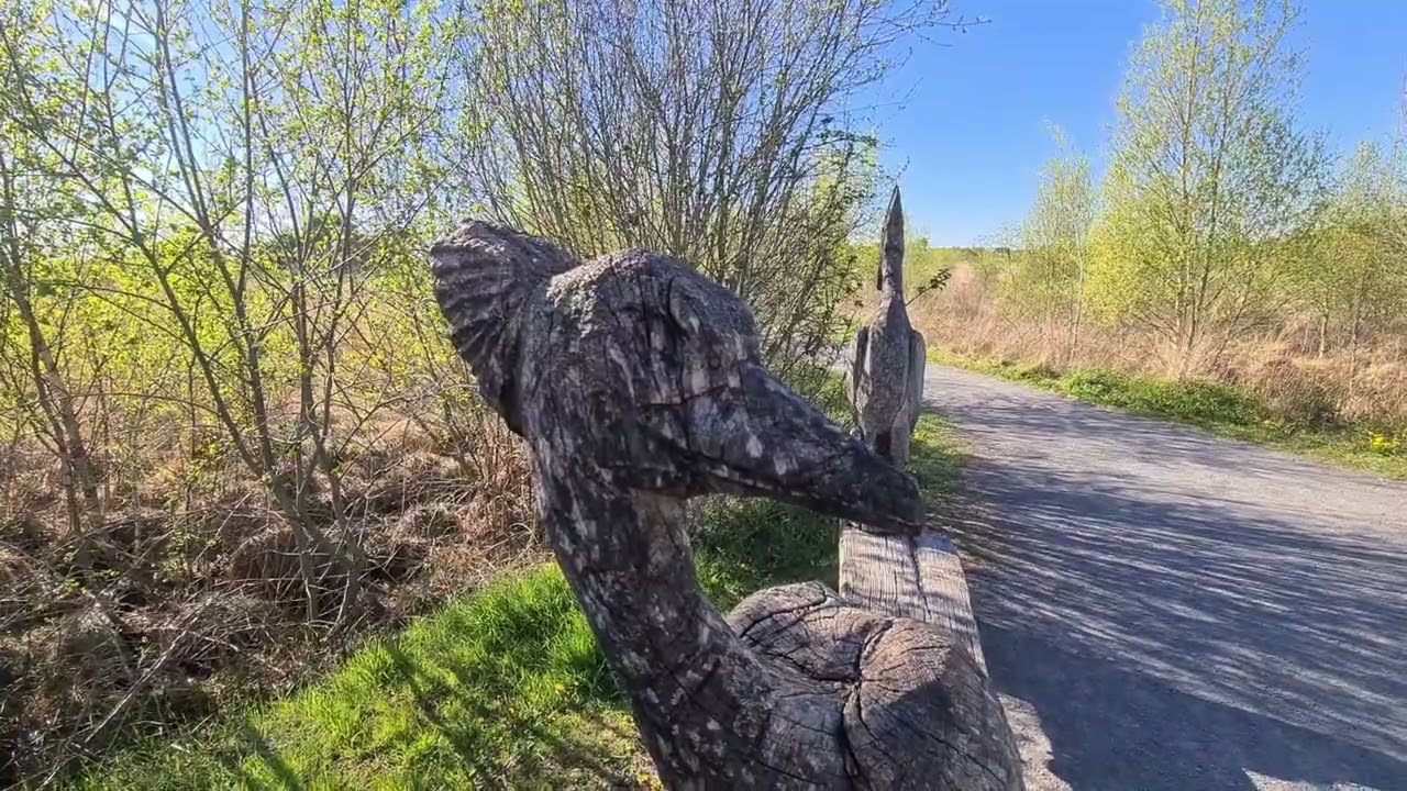 Nationaal park de Grote Peel.