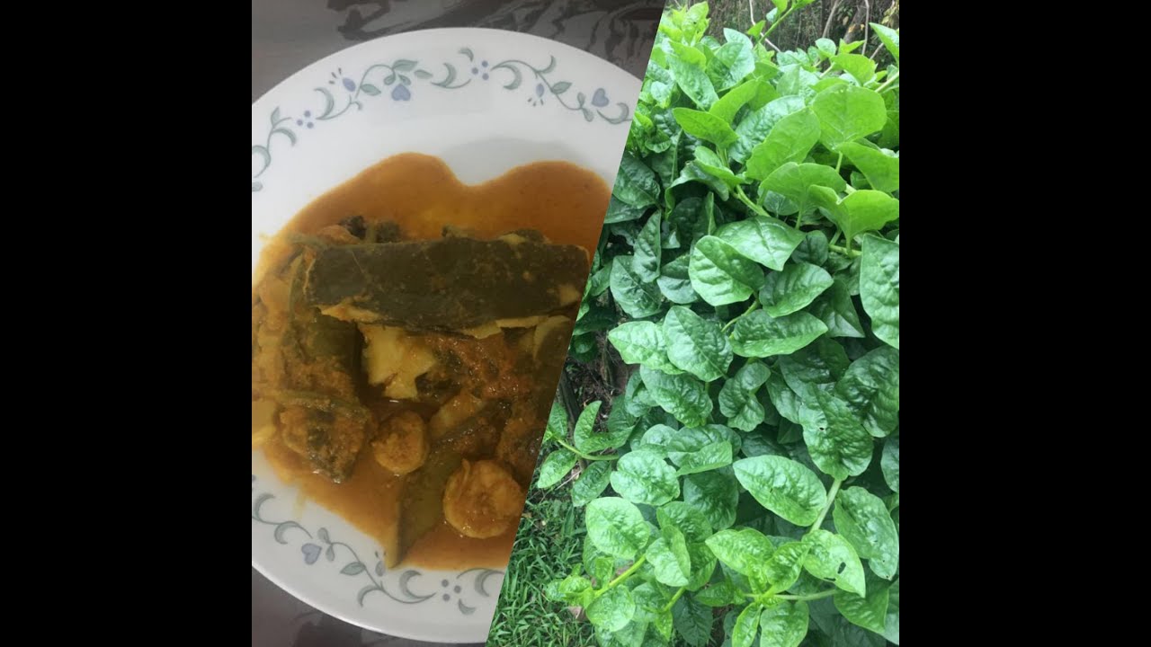 Mangalore traditional Basale Adde | Valchebaji Bobo | Rice dumplings in Malabar Spinach Curry