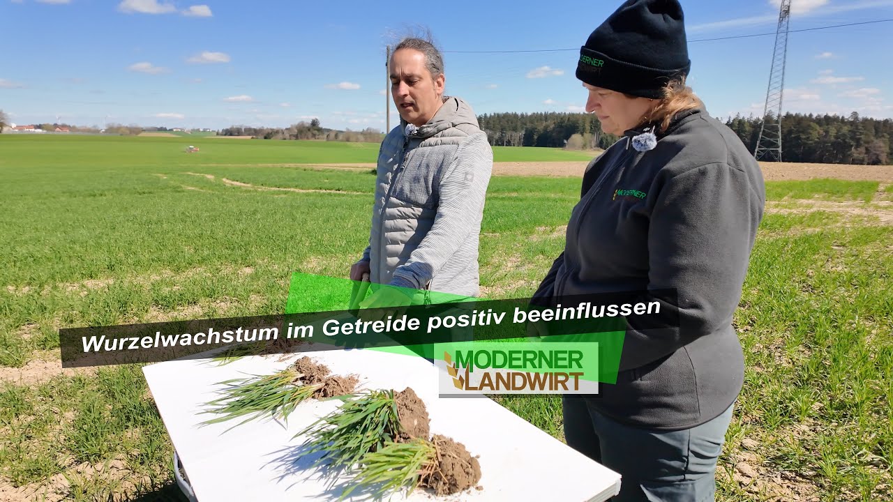 Getreidewurzeln stärken: Bodenstruktur, Nährstoffe & Wasser gezielt verbessern