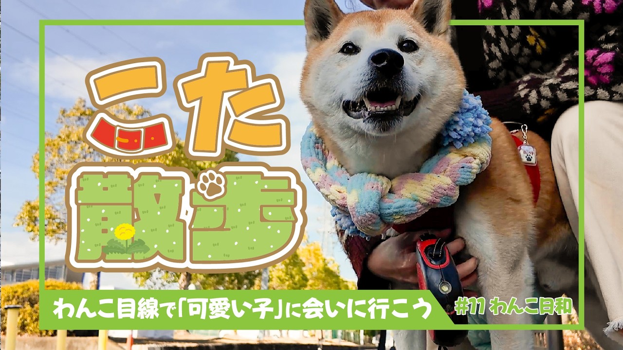 こた散歩2月〜わんこ日和〜