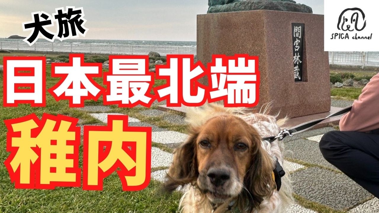 【犬と北海道旅】小樽港からオロロンラインを通って宗谷岬へ。350kmの記録