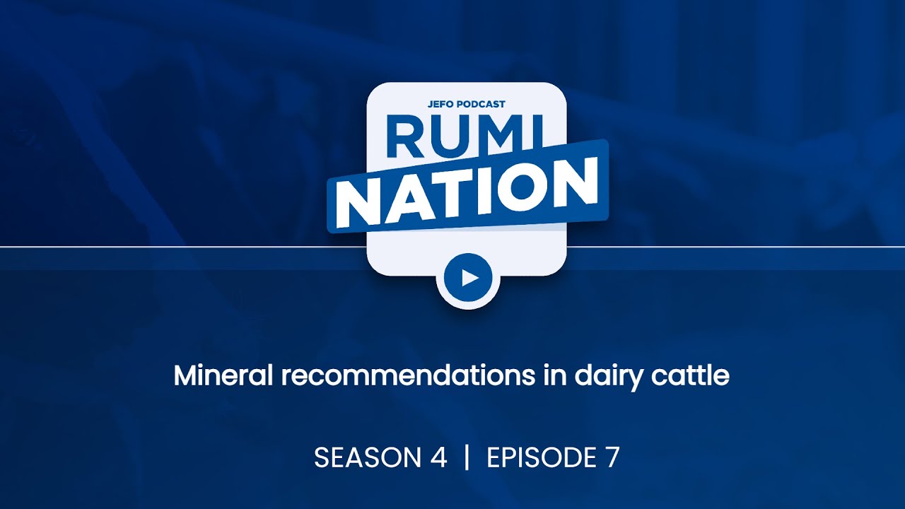 RUMINATION S4E07 : Dr. Bill Weiss - Mineral recommendations in dairy cattle