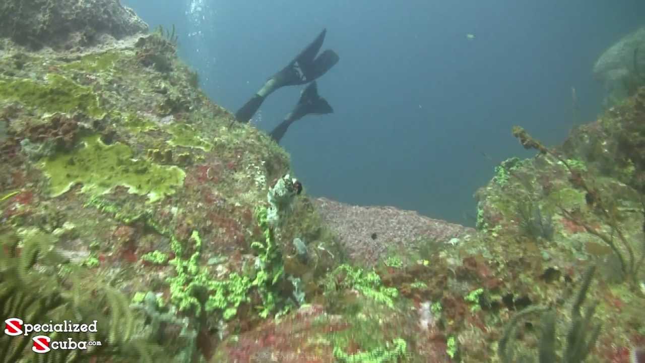 SCUBA Dive London Bridge in Tobago