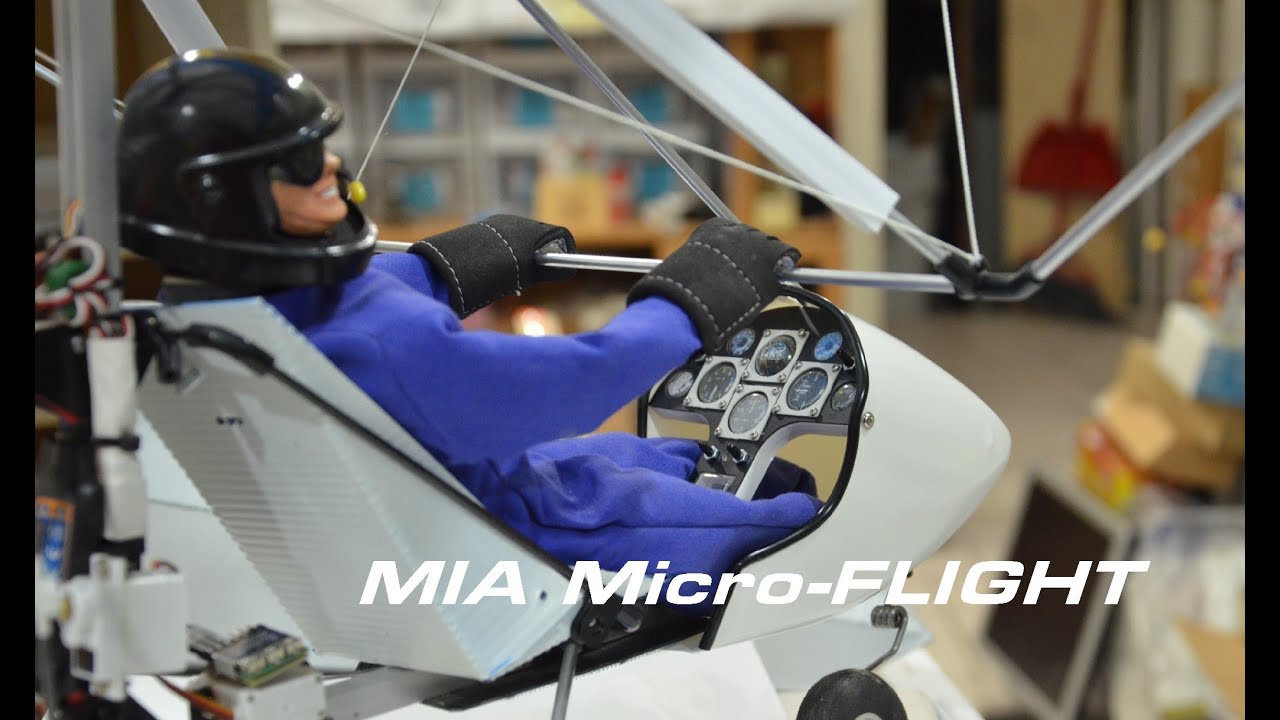 RC Microlight Ultralight Trike Scale Radio Controlled Flying Model with  Detailed Pilot and Cockpit