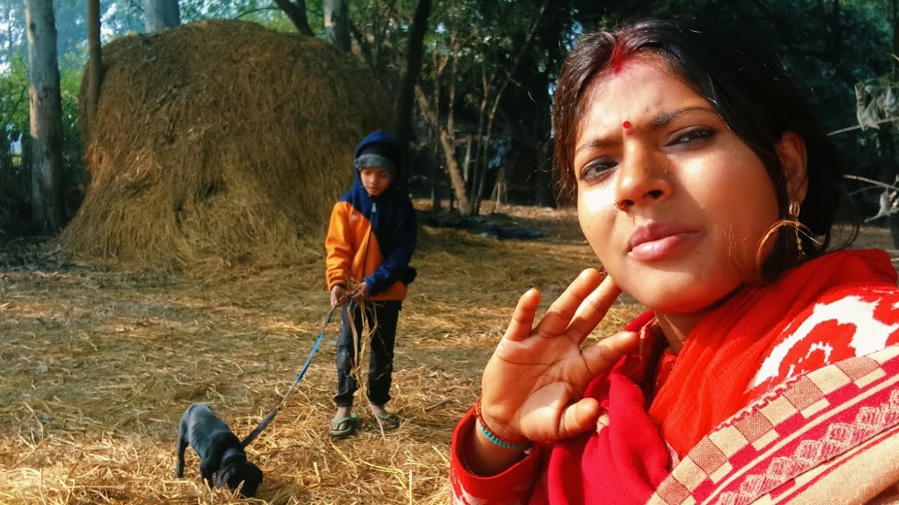#bhojpurisong #बहुत करता प्यार बच्चों ने डॉगी से