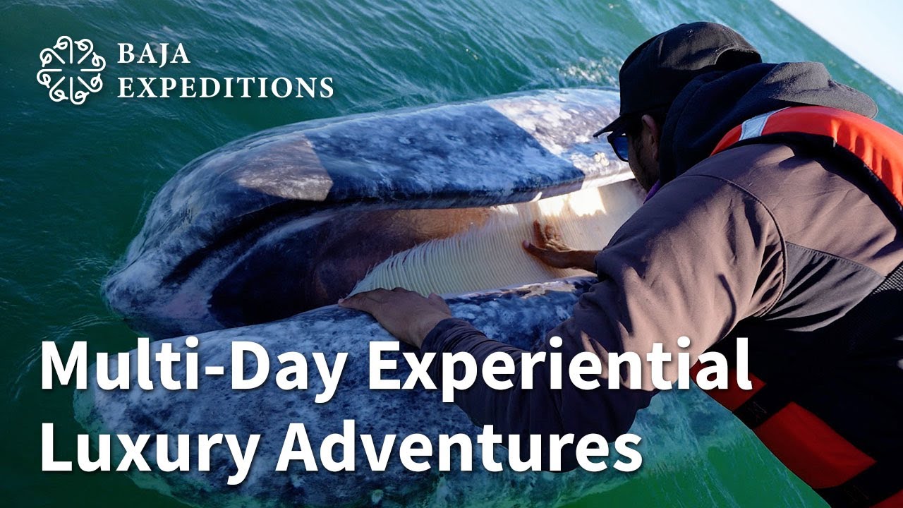 Multi-Day Experiential Luxury Adventures 