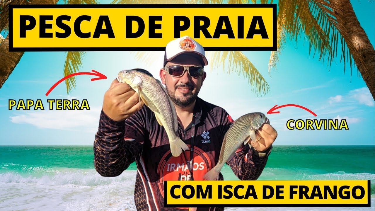 Você já pescou com isca de frango na praia, veja o resultado dessa pescaria. No final uma homenagem!
