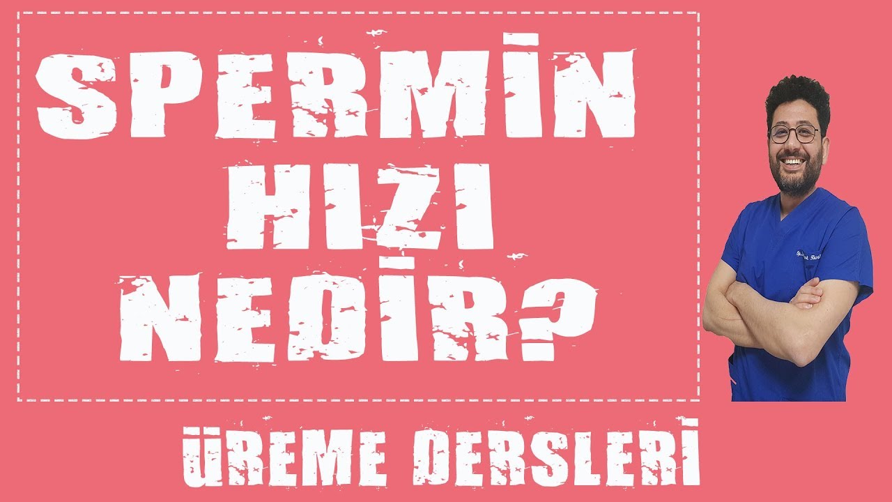 Sperm Hızı Nedir ? Sperm Ne Kadar Sürede Yumurtaya Ulaşır ?