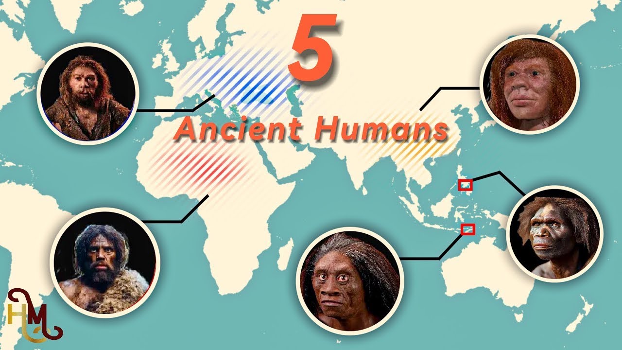 5 Human Species That Shared The Earth In The Last 50,000 Years (Possibly 6)