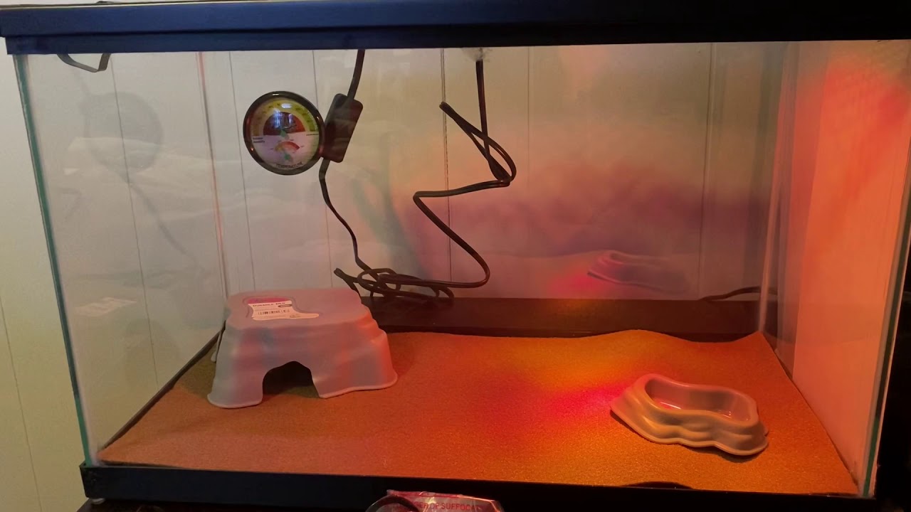 Zilla Starter Kit Review