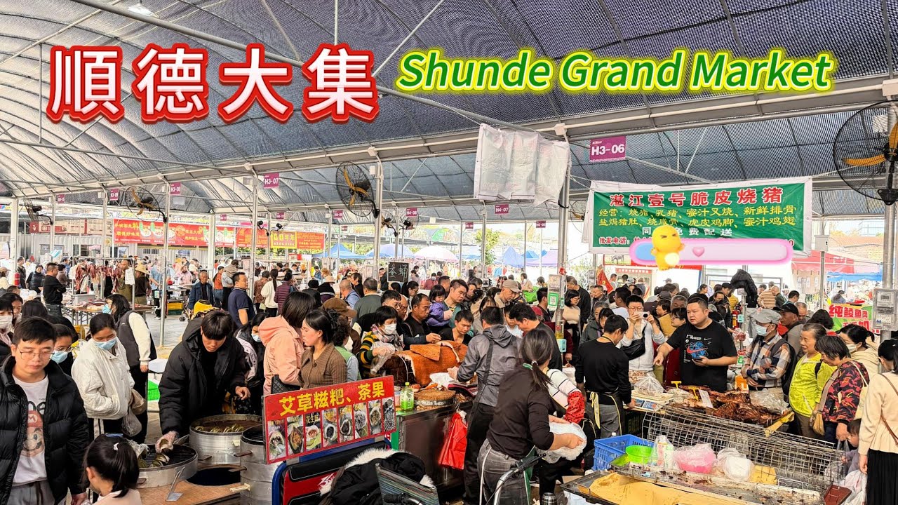廣東順德大集市！集不時不食的傳統美食，驢肉，大墩魚腐，正品黨參，均安魚餅，匯四海新鮮食材，燒肉18元一斤，一日銷售數十頭燒豬的大墟，製作13元一斤的糖炒栗子令人大開眼界，人氣十足的大墩煙火氣！