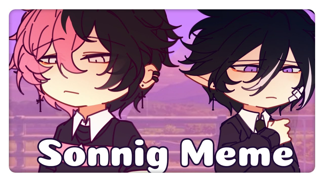【Art C. Prize】 Sonnig Meme | Not my OCs | Read description.
