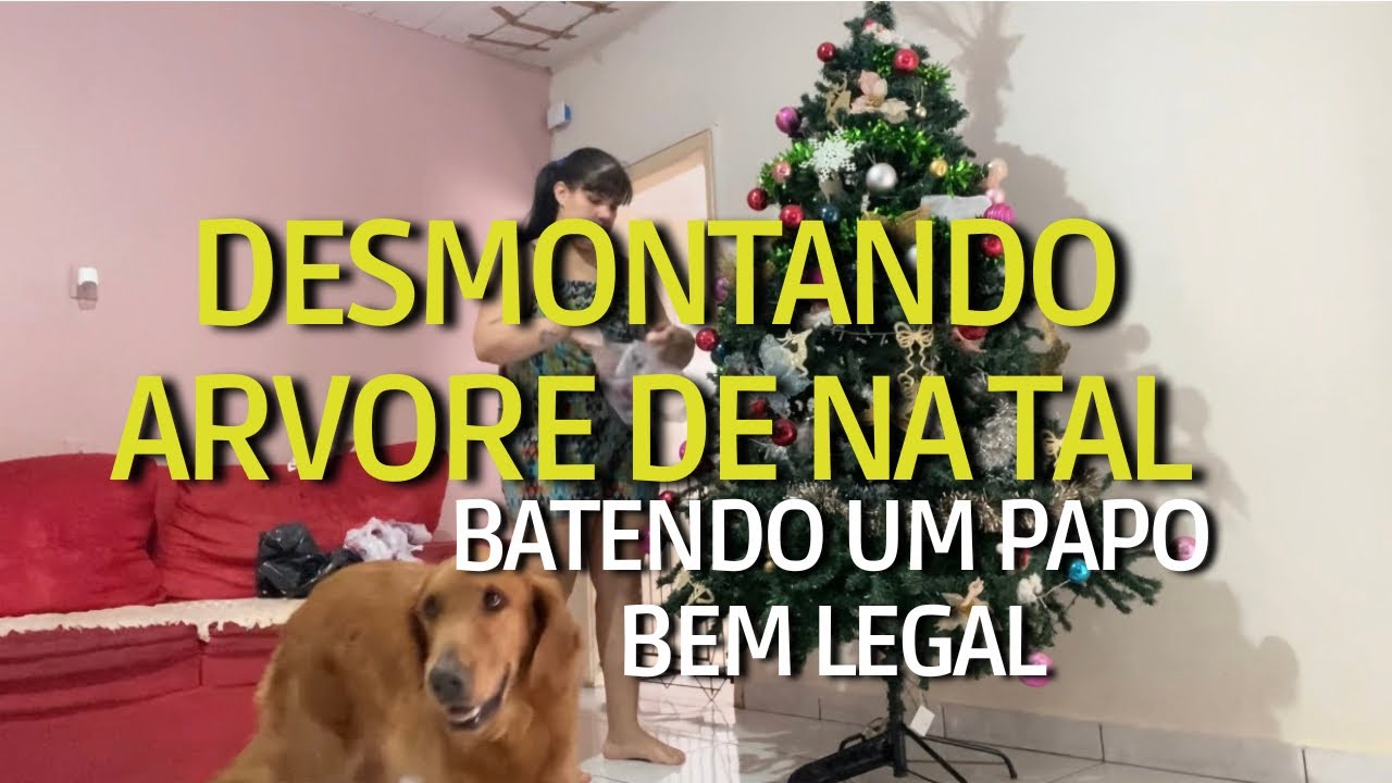 Desmontando a árvore de Natal / desabafando com vocês sobre a vida / está difícil 😥 