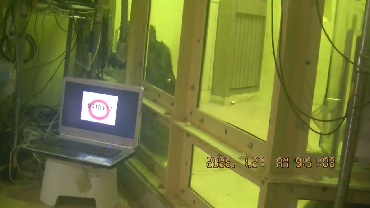 ニイニお勉強　2026．1．27
