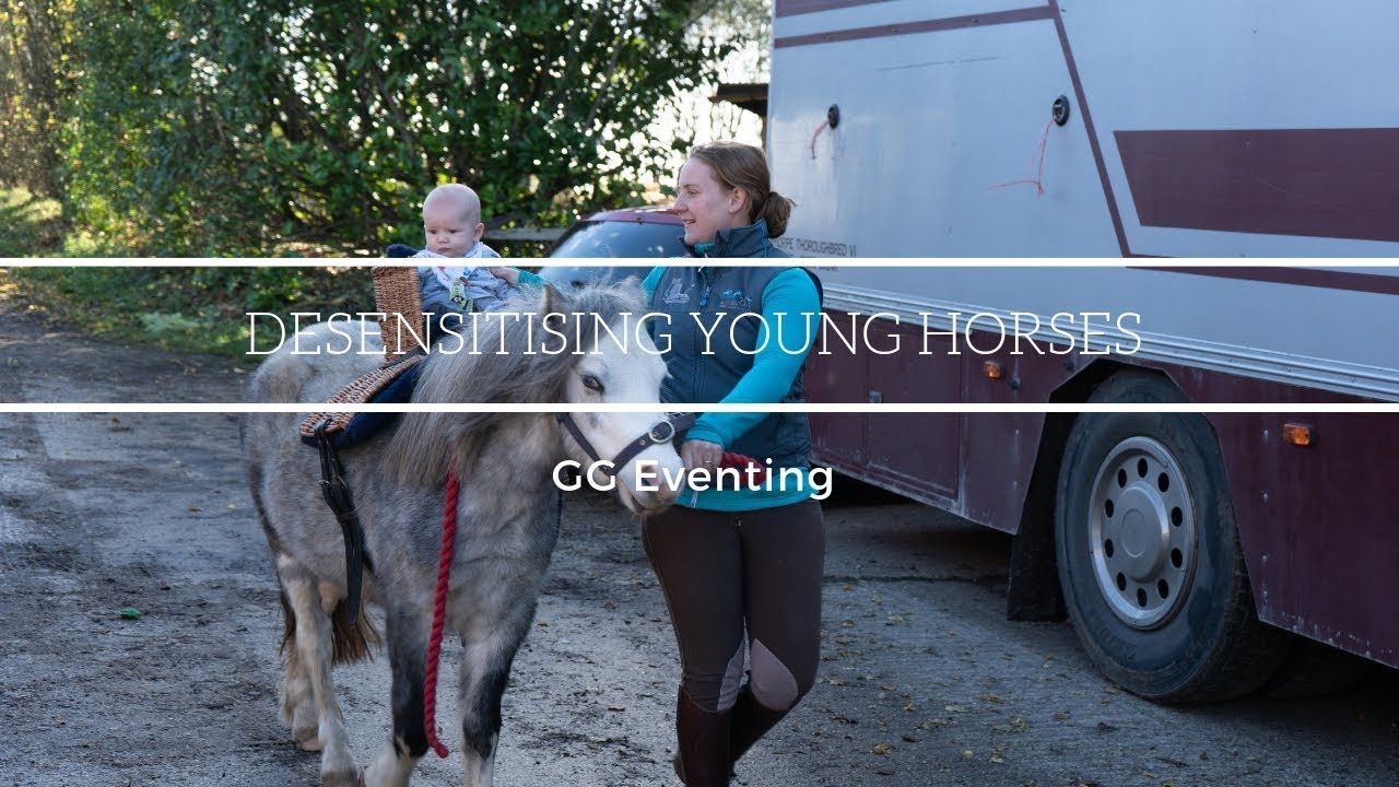 Desensitising Young Horses | GG Eventing |