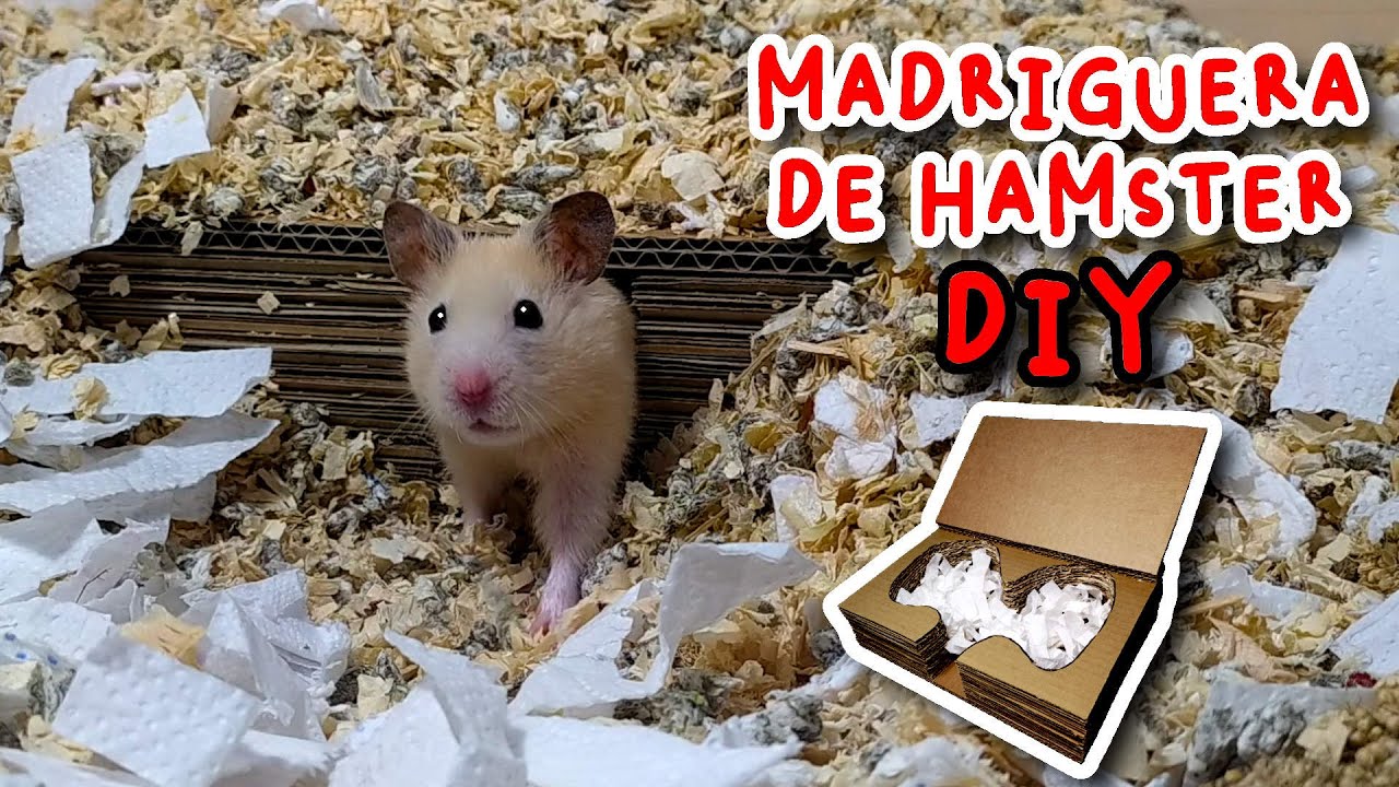 Madriguera para Hámster con Forma de Libro Súper Fácil de Hacer