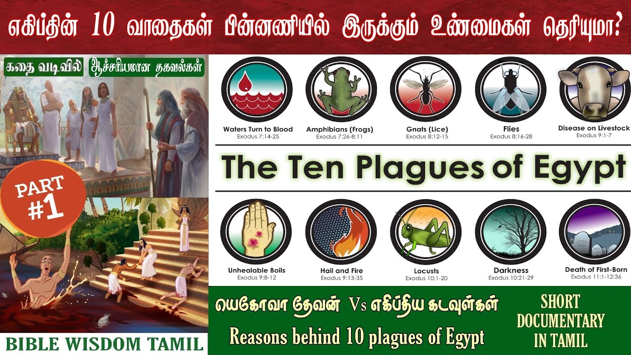 10 plagues of egypt bible story | 10 vathaigal in bible in tamil | 10 வாதை