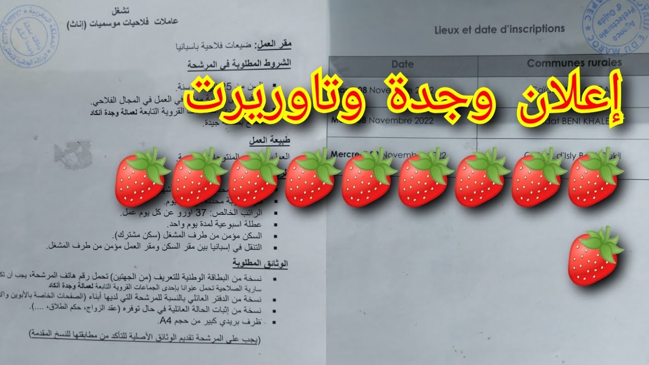 حصريا حتى لعازبات يمكن ليهم يتسجلو🍓🍓وبنات وجدة وتاوريرت راهم نزلو الإعلان بالتوفيق للجميع