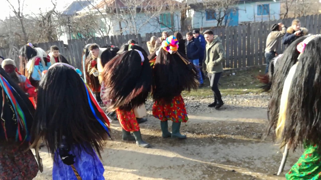 Mascatii belcesti 2017 #3