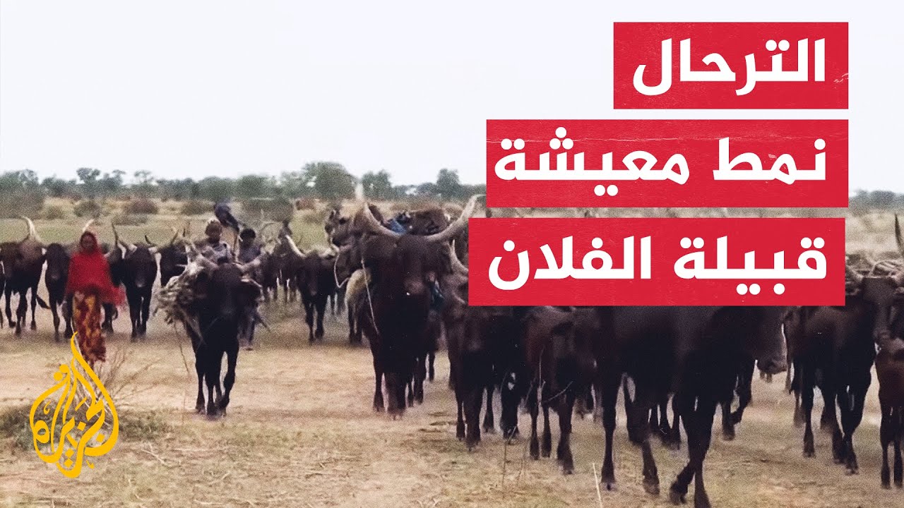الفلان قبيلة في إفريقيا لها نمط حياة خاص.. تعرف عليهم