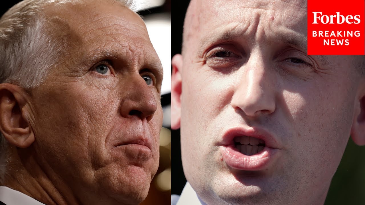 'I'm Sick Of Stupid': Thom Tillis Dunks On Stephen Miller For Saying Greenland Should Be Part Of US