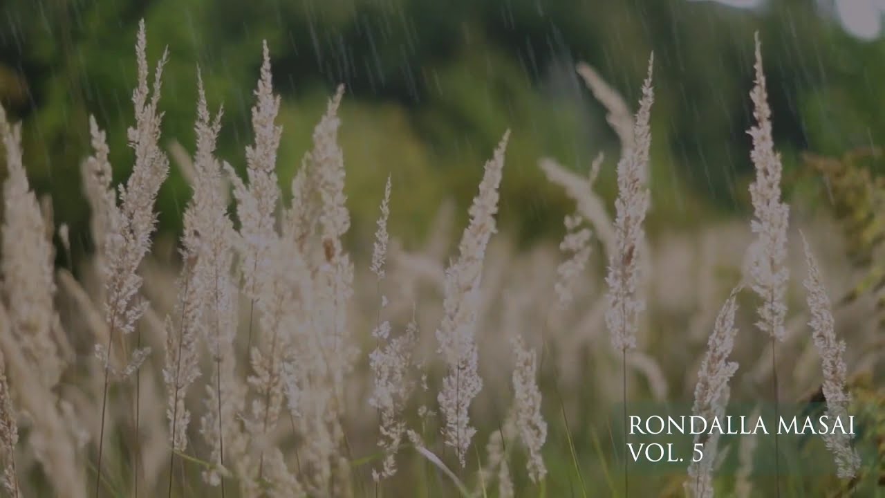 Vol. 5 Álbum Completo..( El mismo Dios)