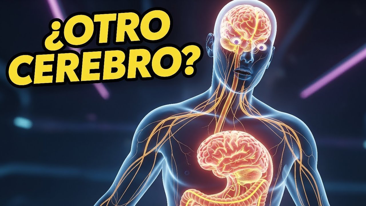 El segundo cerebro: El misterio de tus entrañas
