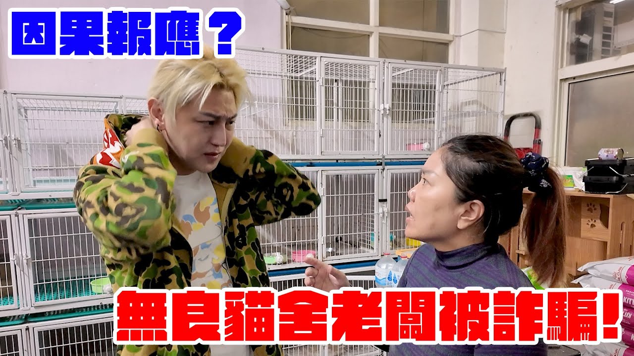 因果報應? 無良貓舍老闆被詐騙 !