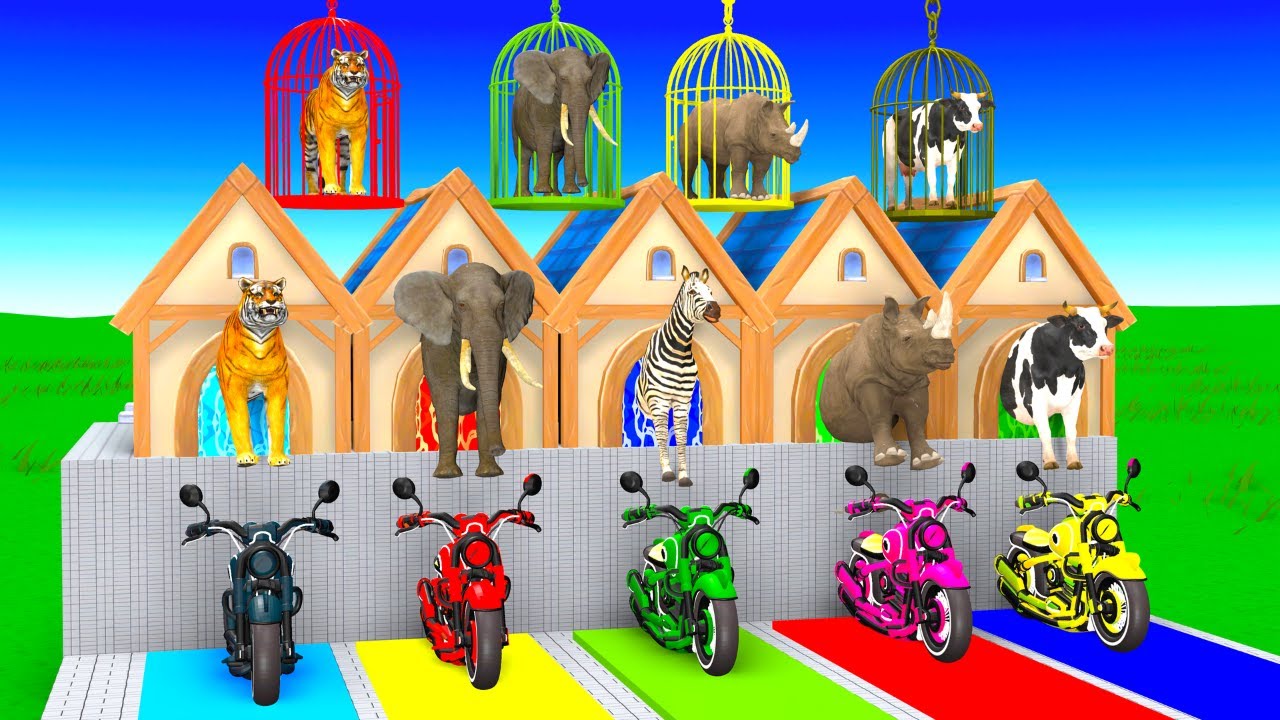 Long Slide Game with Cow Elephant Hippopotamus giraffe  Tiger 3d Animal Game Funny 3d Animals