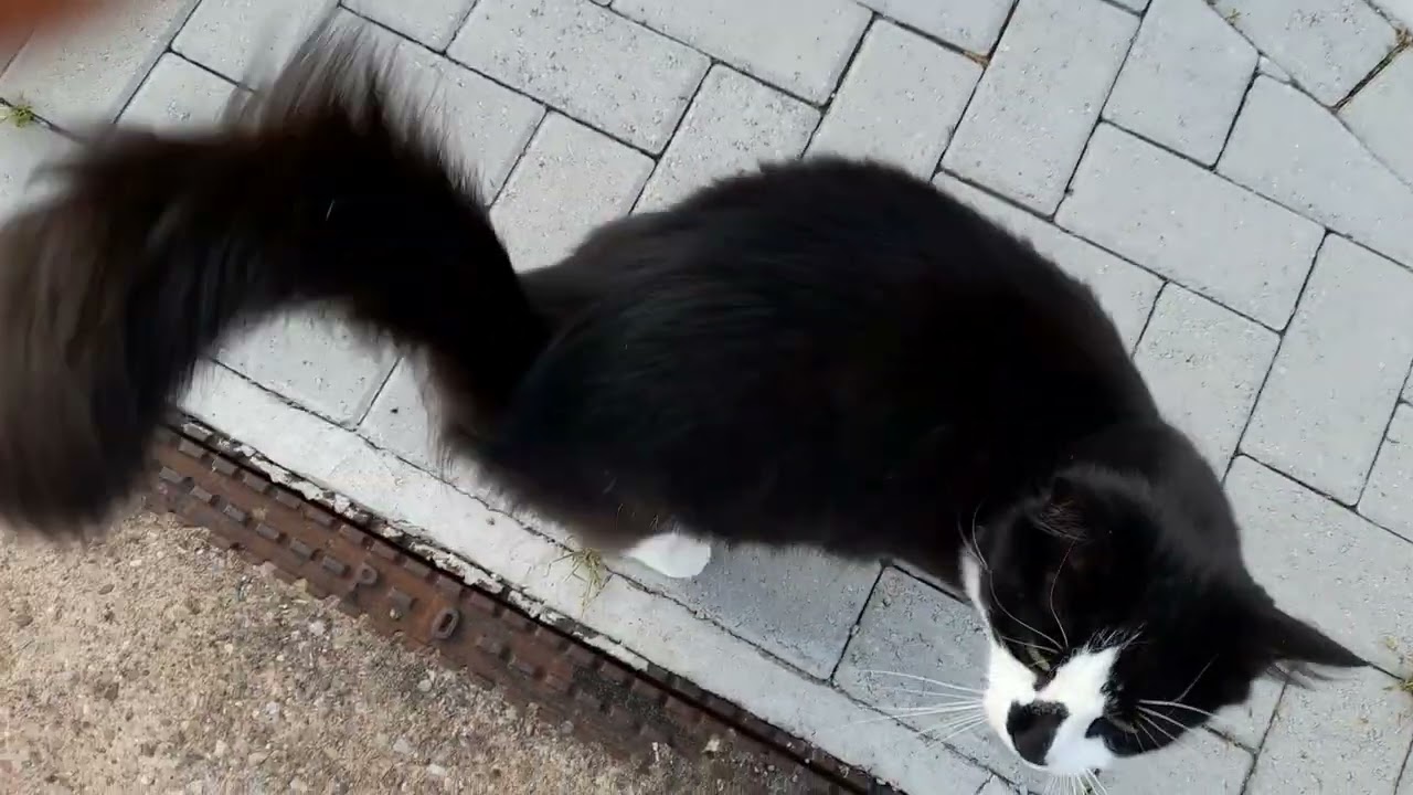 Sunny and Larry welcome me home