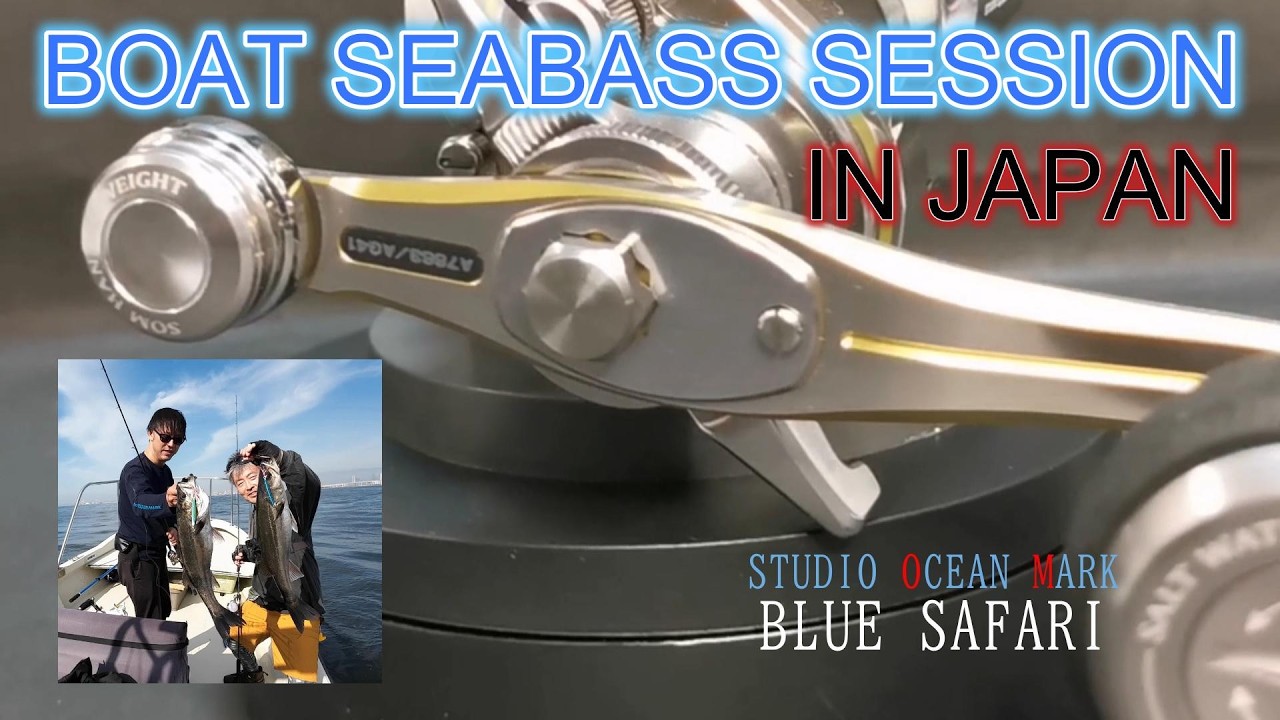 BOAT seabass Fishing session in JAPAN Studio Ocean Mark  Blue Safari reel