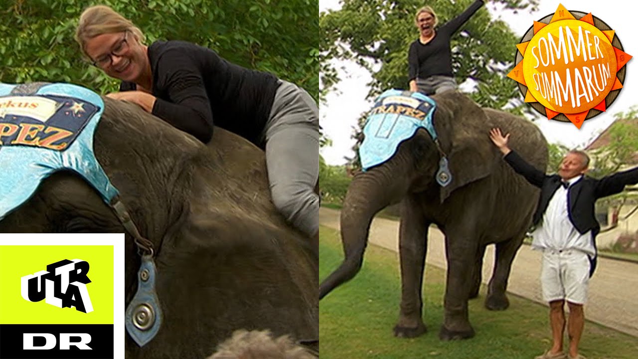 Overrasket med elefant! | Sommer Summarum | Ultra