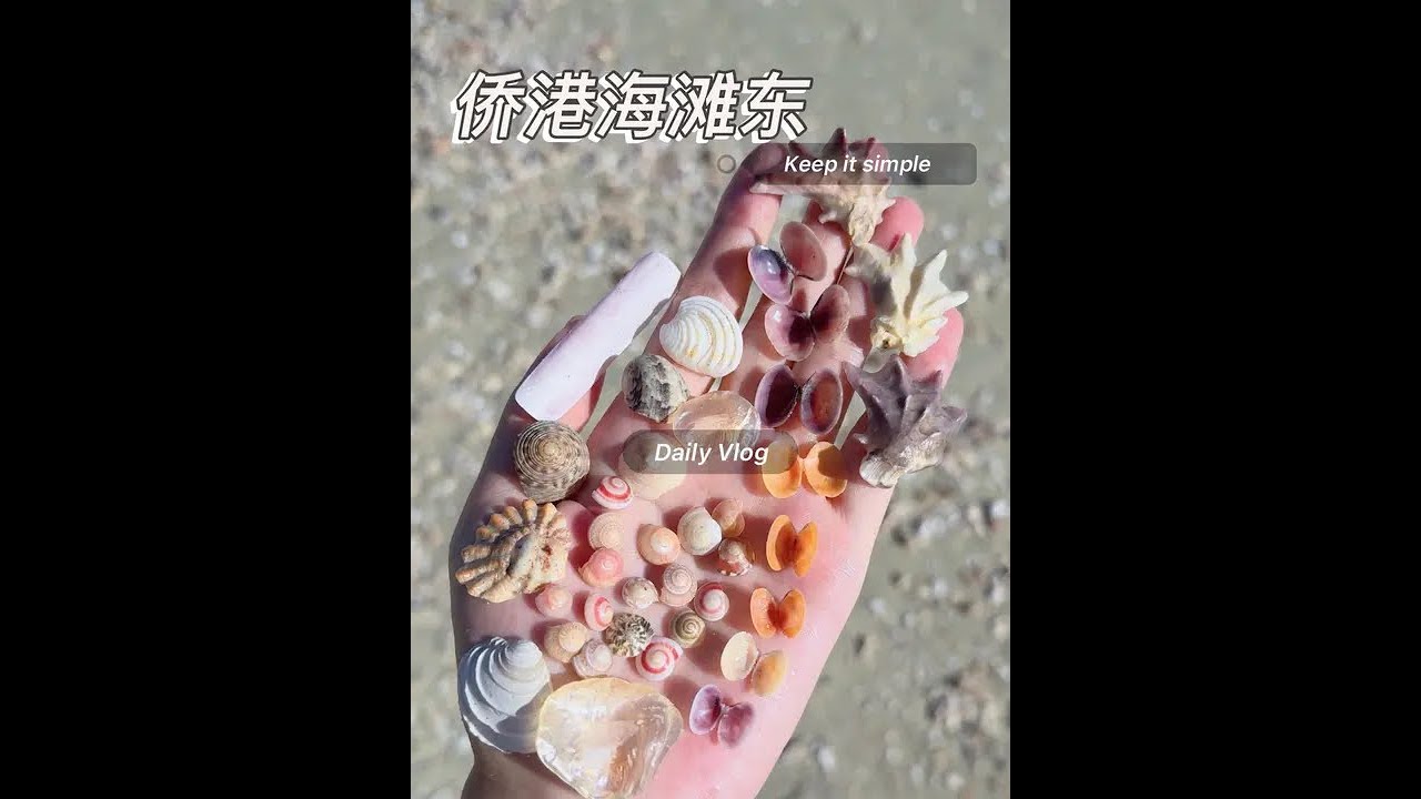 侨港海滩东 好久没去捡贝壳了，侨港的贝壳带貌似回来了，视频结尾有宝藏~#原创视频 #vlog十亿流量扶持计划 #海滩拾趣 #北海#捡贝壳