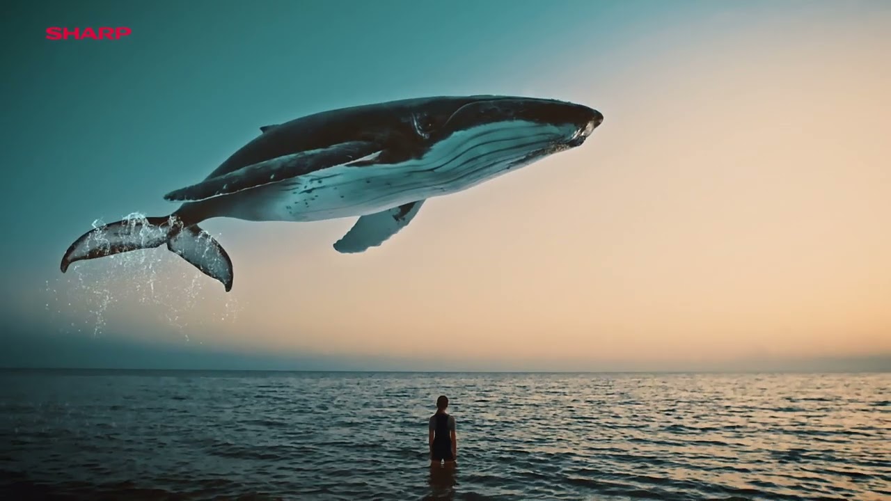 A Freelance Jingle Writer & Composer&rsquo;s Journey - Sharp Dolby ATMOS Sound Bar